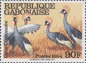 Grey Crowned Crane (Balearica regulorum)